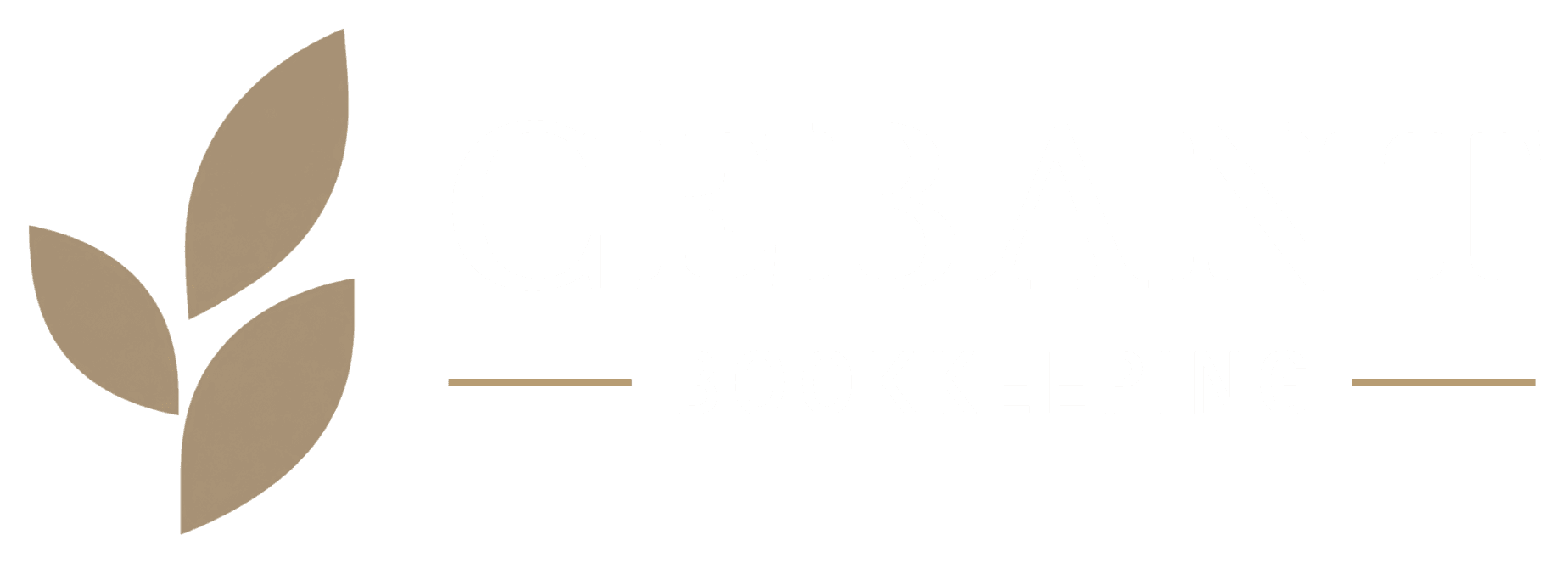 Cebant Bookkeeping